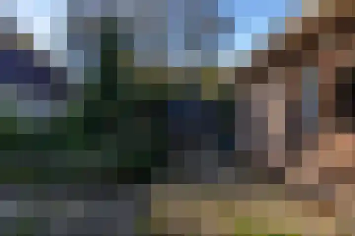 Meidoornlaan 21 Oldekerk thumbnail 35
