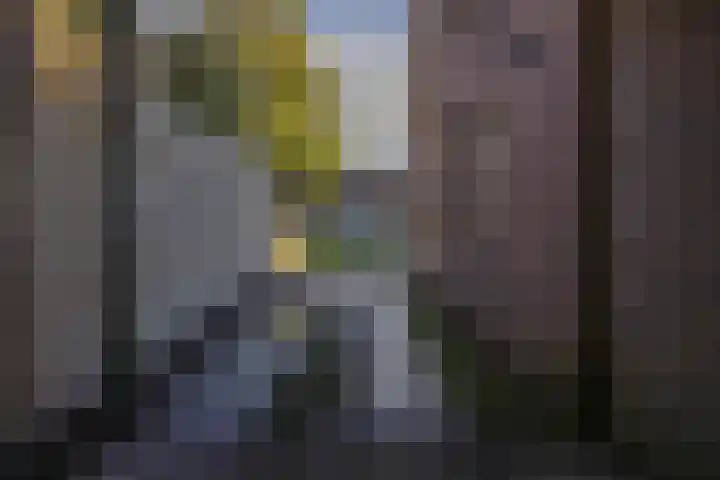 Meidoornlaan 21 Oldekerk thumbnail 39
