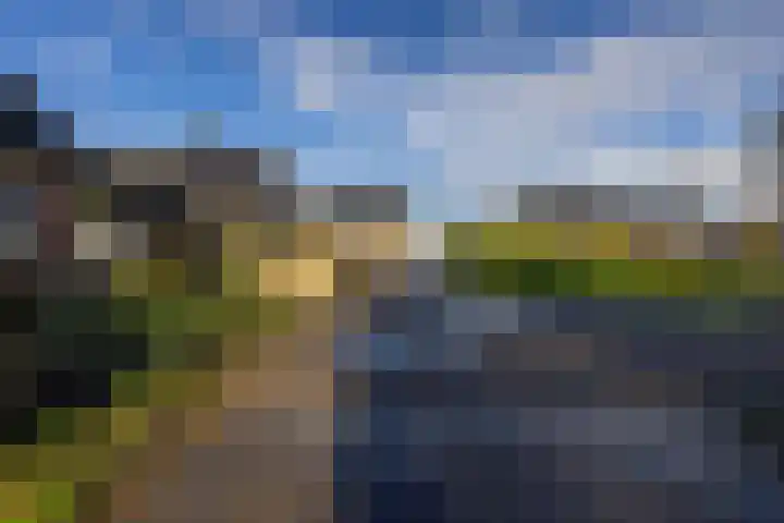 Meidoornlaan 21 Oldekerk thumbnail 43