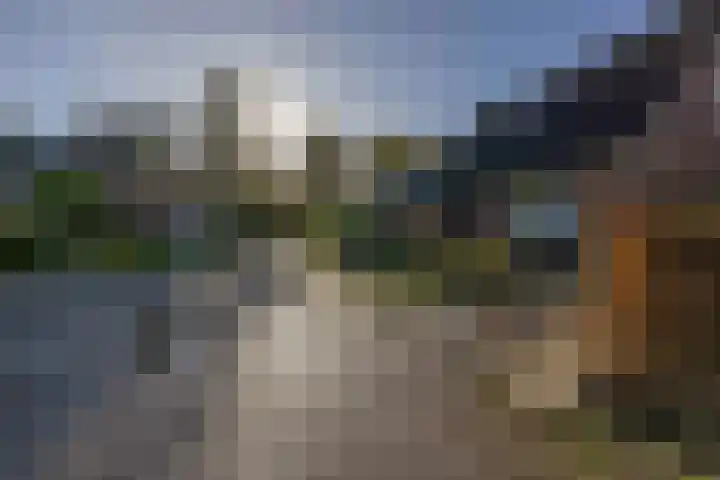 Meidoornlaan 21 Oldekerk thumbnail 44