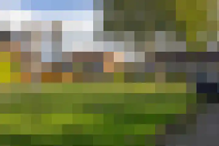 Meidoornlaan 21 Oldekerk thumbnail 6