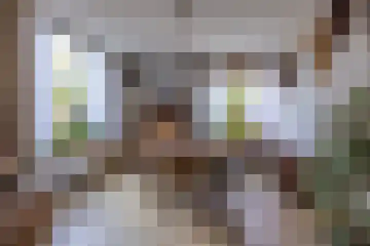 Meidoornlaan 21 Oldekerk thumbnail 9