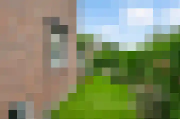 Meidoornlaan 22 Bunde thumbnail 18