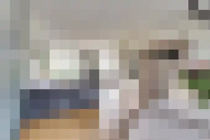 Meidoornlaan 22 Ermelo thumbnail 12