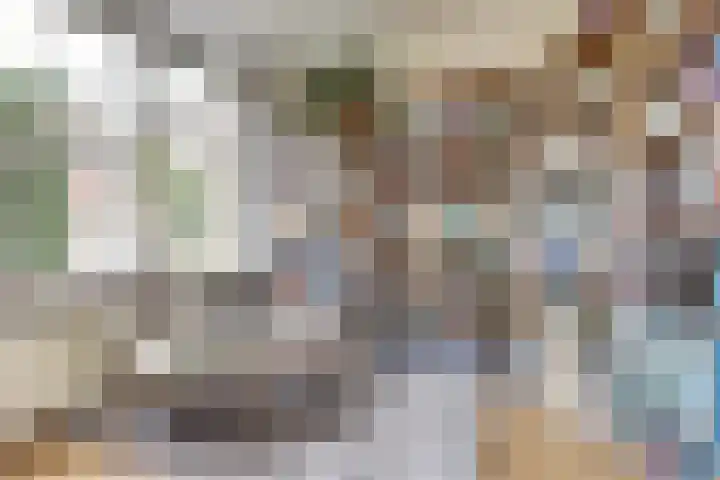 Meidoornlaan 22 Ermelo thumbnail 13