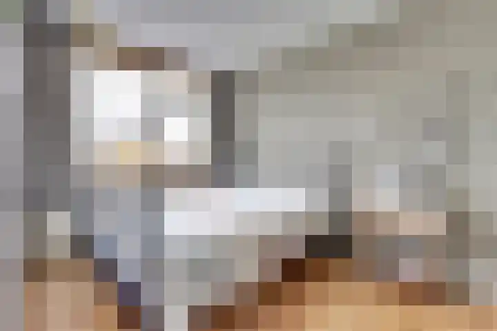Meidoornlaan 22 Ermelo thumbnail 26