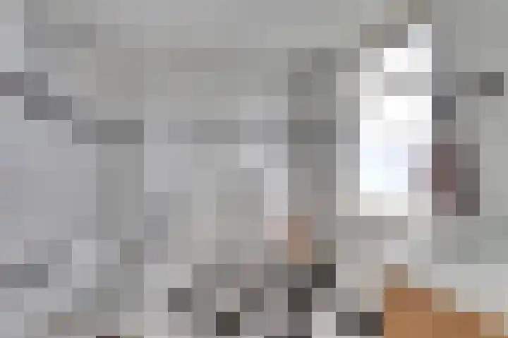 Meidoornlaan 22 Ermelo thumbnail 30
