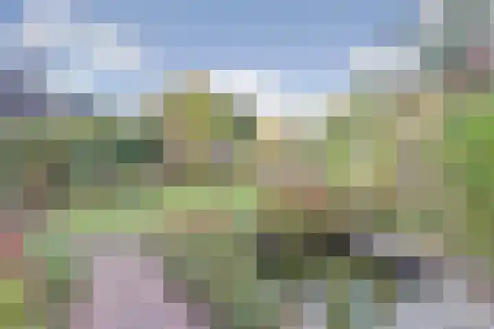 Meidoornlaan 22 Ermelo thumbnail 39