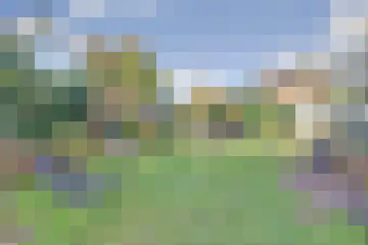 Meidoornlaan 22 Ermelo thumbnail 40