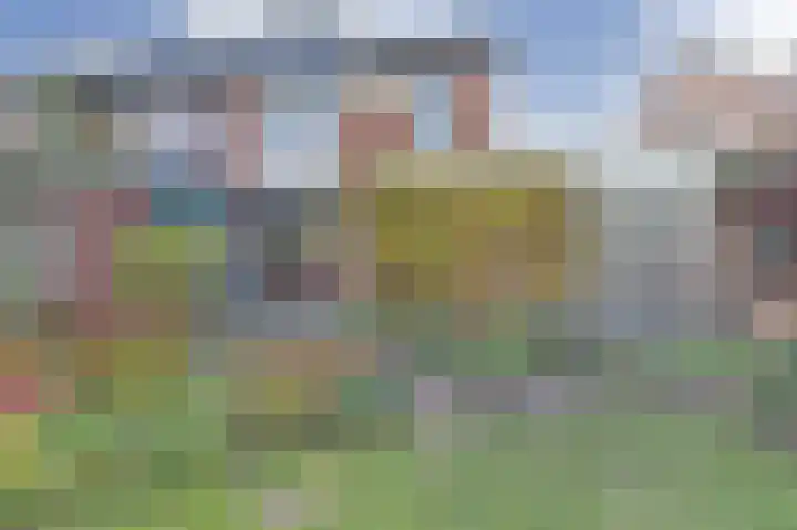 Meidoornlaan 22 Ermelo thumbnail 43
