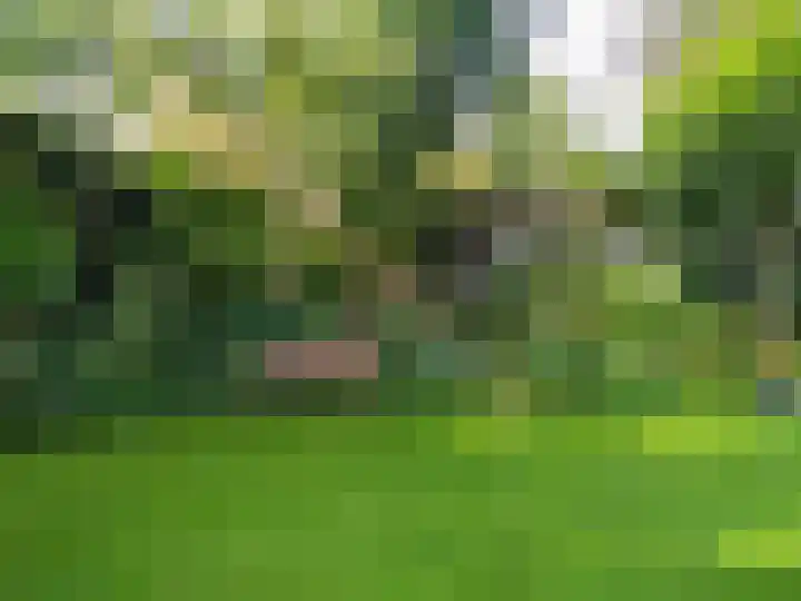 Meidoornlaan 22 Ermelo thumbnail 44