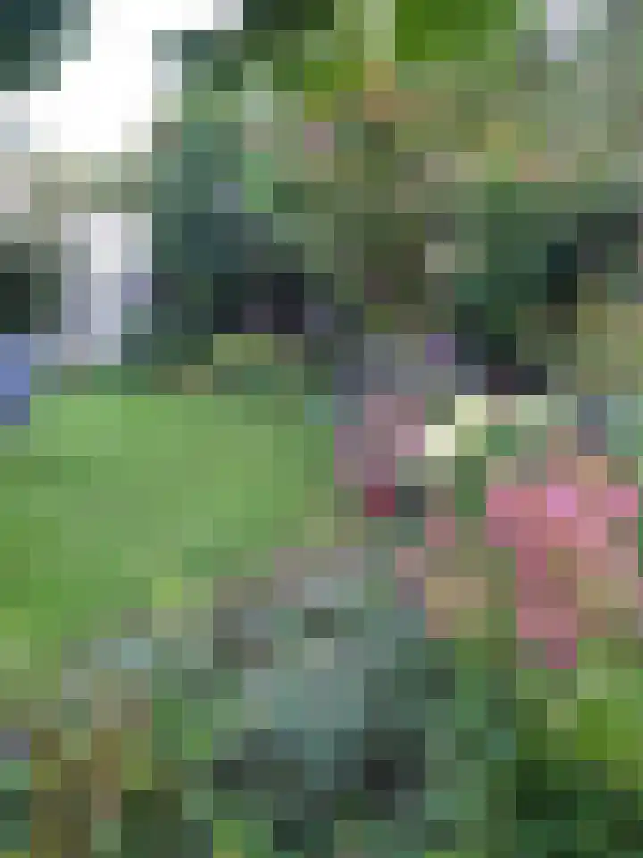 Meidoornlaan 22 Ermelo thumbnail 45