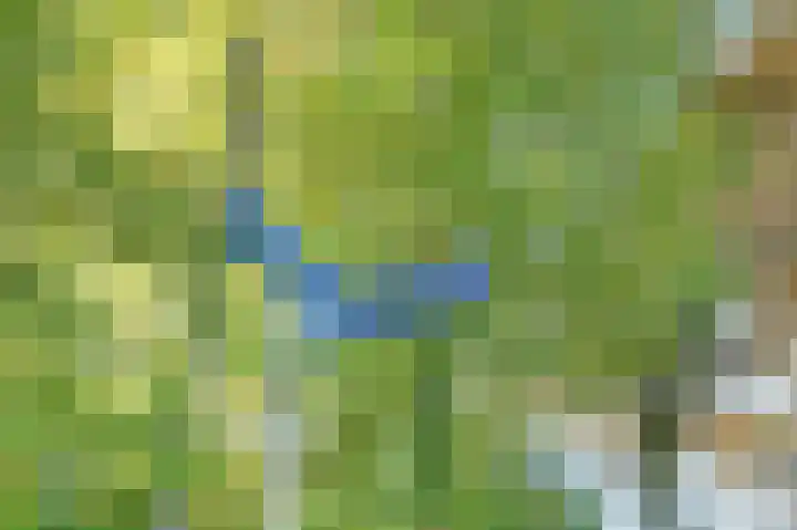 Meidoornlaan 22 Ermelo thumbnail 46