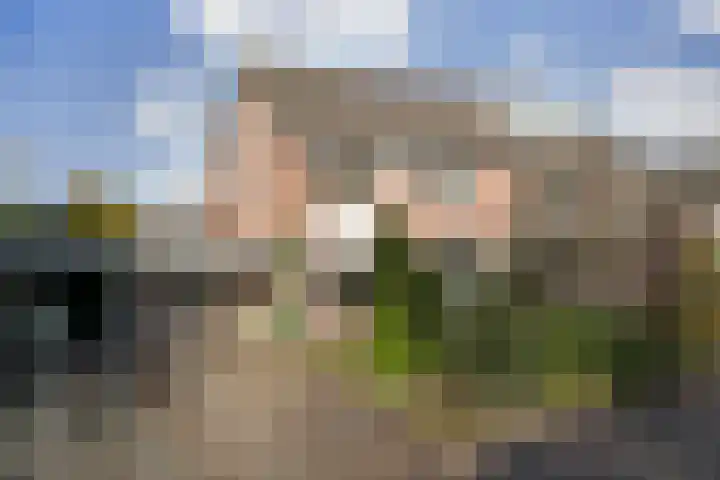 Meidoornlaan 22 Ermelo thumbnail 49