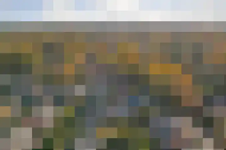 Meidoornlaan 22 Ermelo thumbnail 50