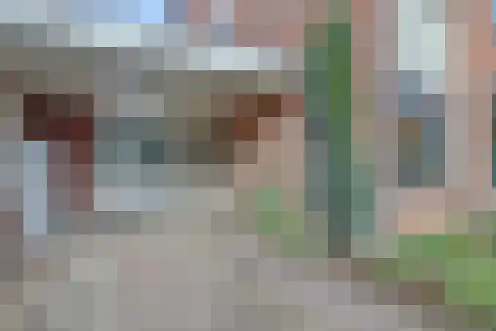 Meidoornlaan 22 Ermelo thumbnail 6