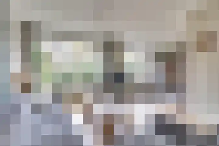Meidoornlaan 22 Ermelo thumbnail 8