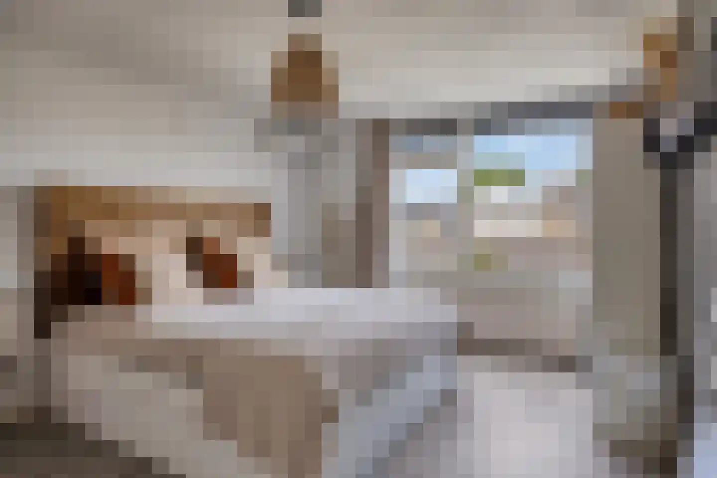 Meidoornlaan 22 Lopik thumbnail 14