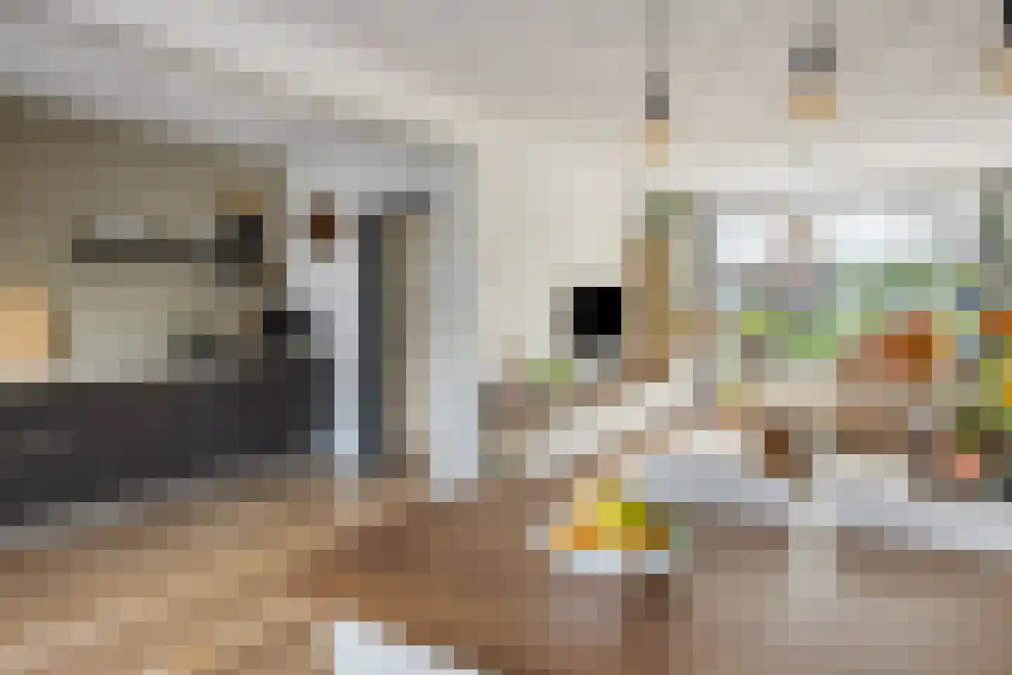 Meidoornlaan 22 Lopik foto 2