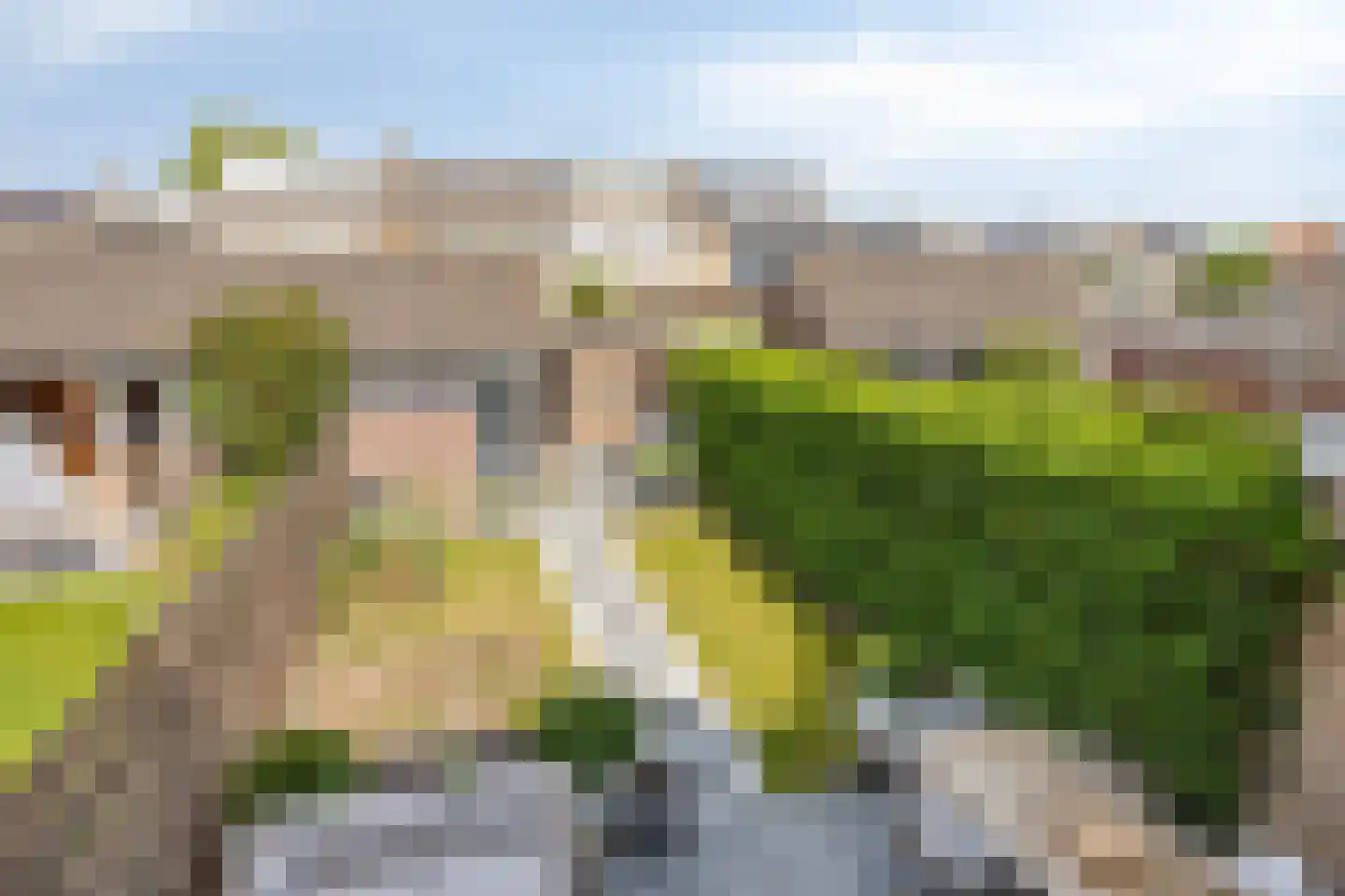 Meidoornlaan 22 Lopik thumbnail 24