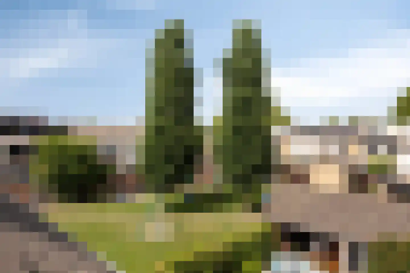 Meidoornlaan 22 Lopik thumbnail 28
