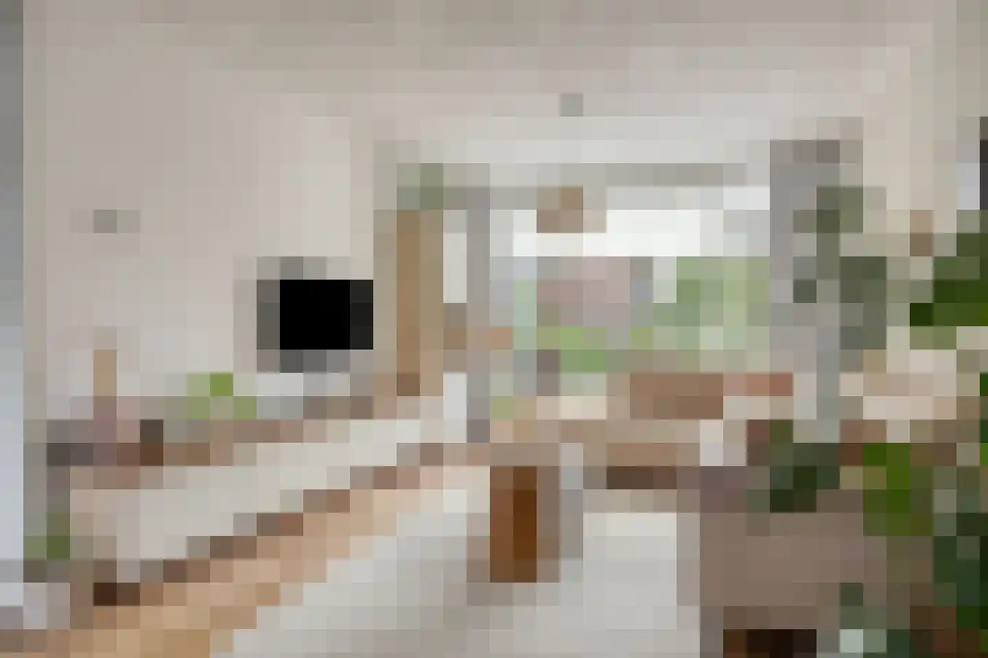 Meidoornlaan 22 Lopik thumbnail 8