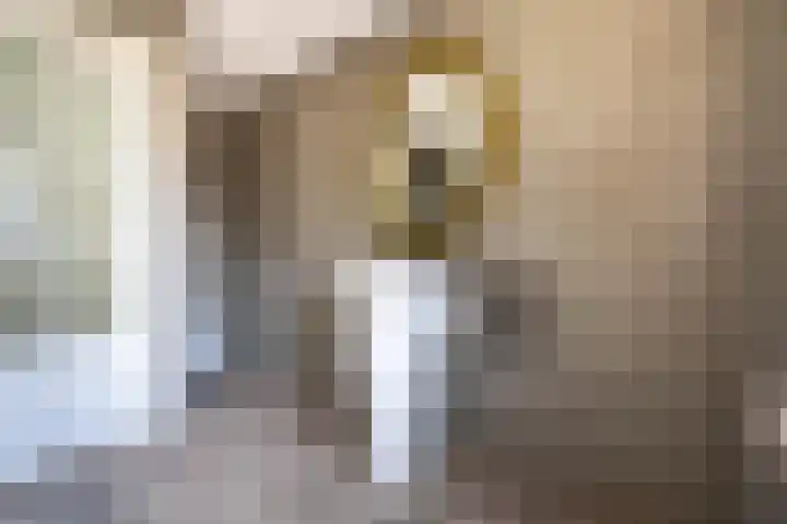 Meidoornlaan 22 Nieuwkoop thumbnail 17