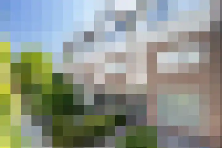 Meidoornlaan 22 Nieuwkoop thumbnail 30