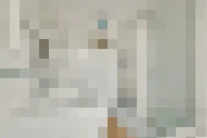 Meidoornlaan 24 Amstelveen thumbnail 19