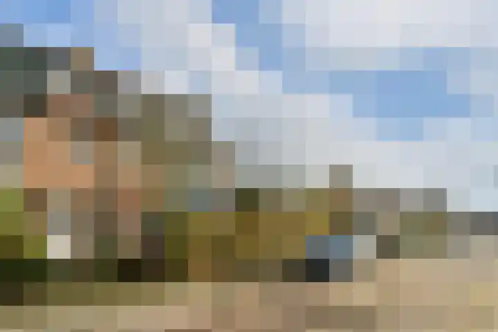 Meidoornlaan 24 Amstelveen thumbnail 26