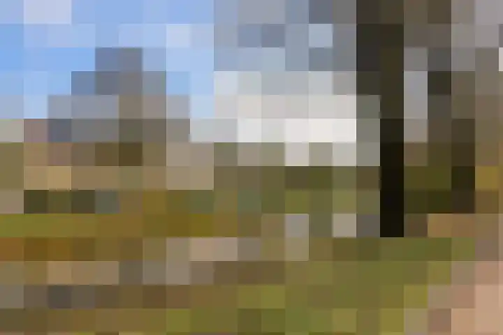 Meidoornlaan 24 Amstelveen thumbnail 28