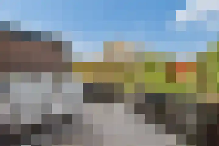 Meidoornlaan 24 Dordrecht thumbnail 11