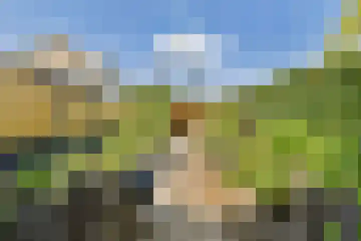 Meidoornlaan 24 Dordrecht thumbnail 12