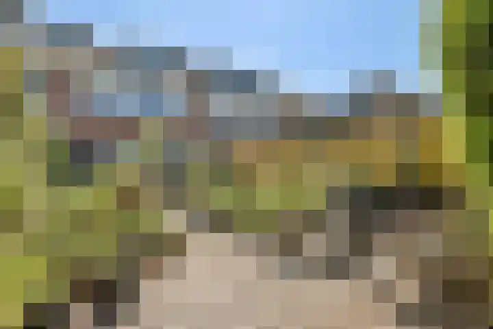 Meidoornlaan 24 Dordrecht thumbnail 13