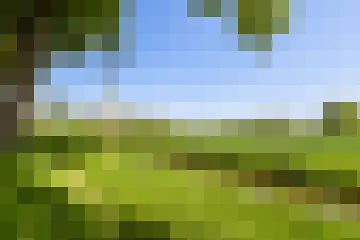 Meidoornlaan 24 Dordrecht thumbnail 26