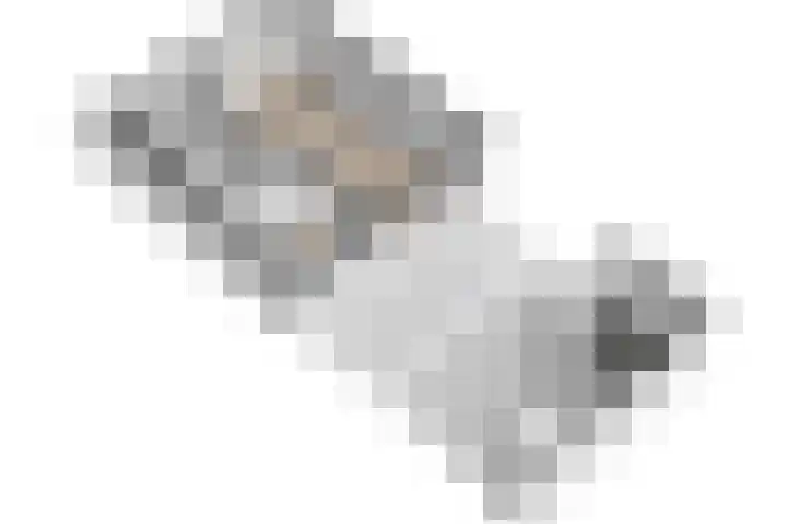 Meidoornlaan 24 Dordrecht thumbnail 35