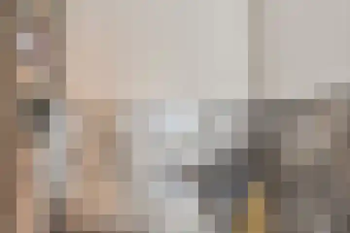 Meidoornlaan 24 Dordrecht thumbnail 5
