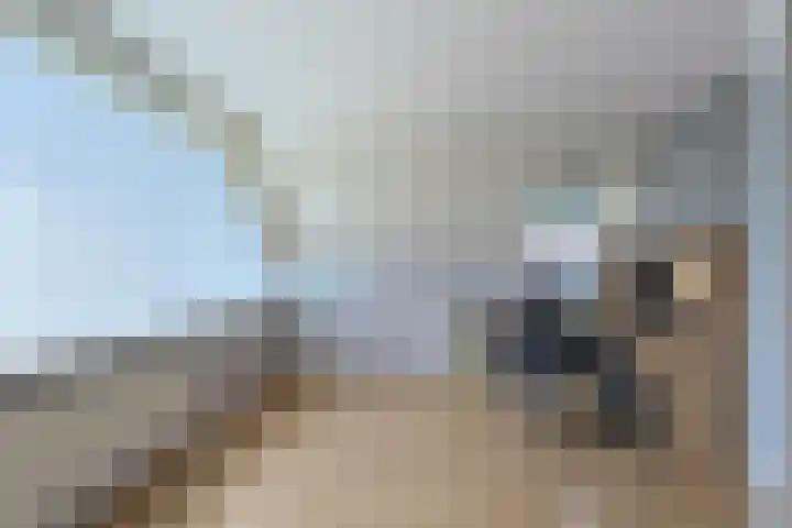Meidoornlaan 24 Nieuwkoop thumbnail 32