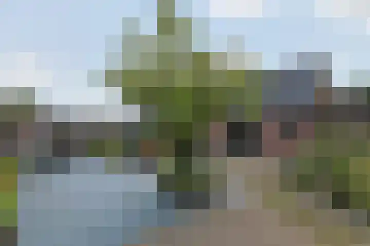 Meidoornlaan 24 Nieuwkoop thumbnail 36