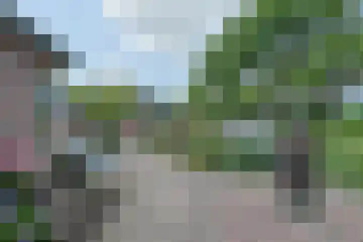 Meidoornlaan 24 Nieuwkoop thumbnail 41