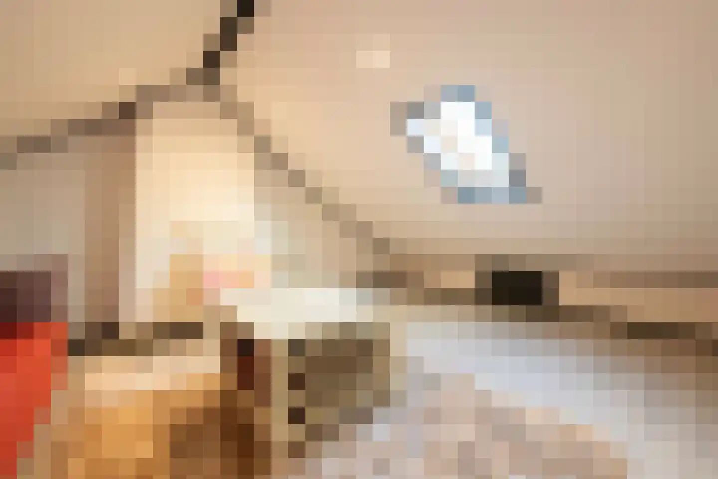 Meidoornlaan 27 Hoeven thumbnail 36
