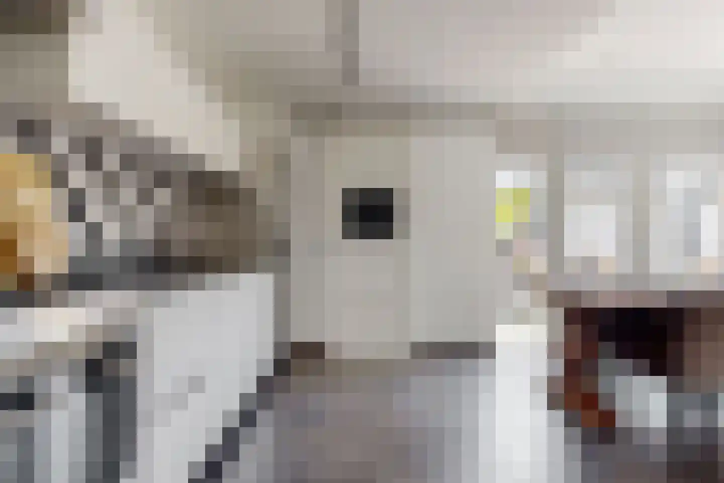 Meidoornlaan 27 Limmen thumbnail 12