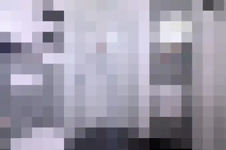 Meidoornlaan 28 Brummen thumbnail 18