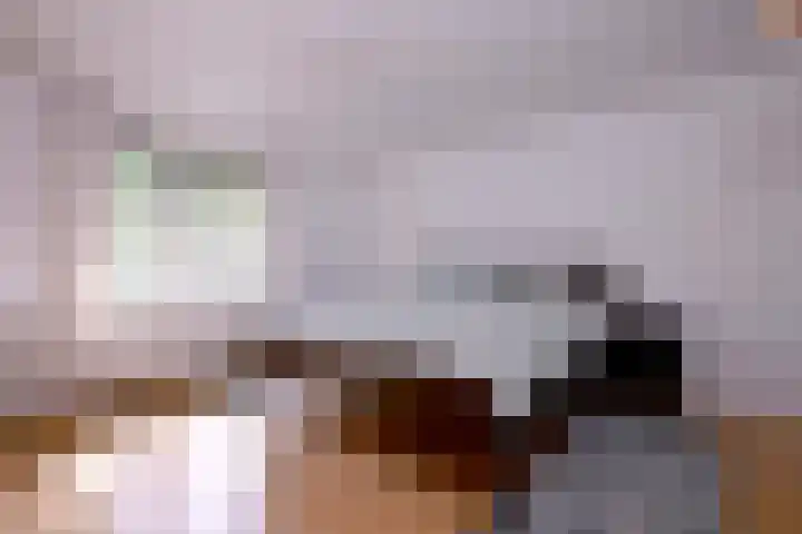 Meidoornlaan 28 Brummen thumbnail 26
