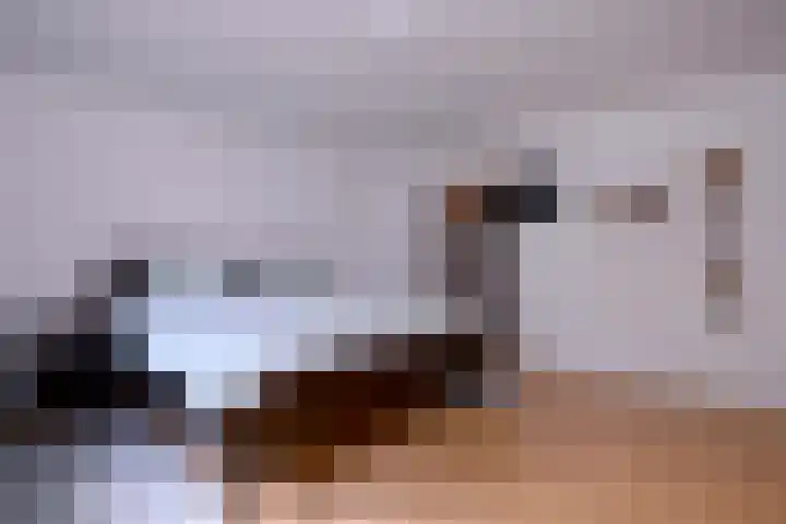 Meidoornlaan 28 Brummen thumbnail 27