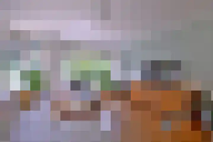 Meidoornlaan 28 Brummen foto 3