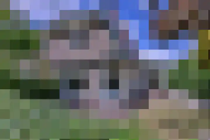 Meidoornlaan 28 Brummen thumbnail 33
