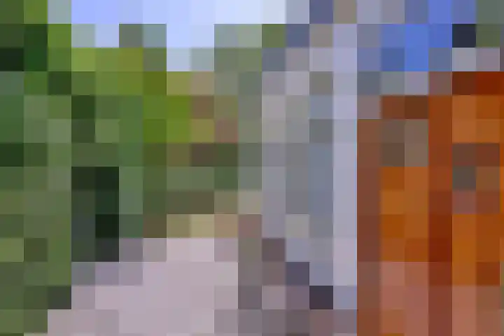Meidoornlaan 28 Brummen thumbnail 34
