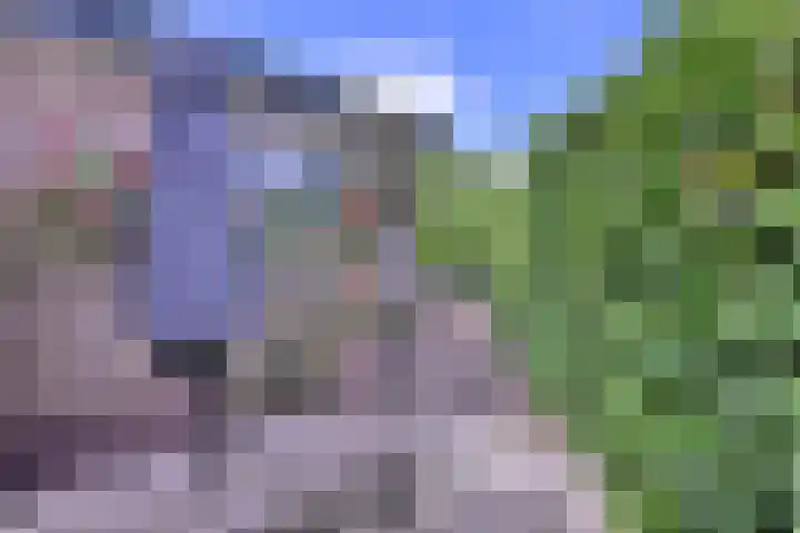 Meidoornlaan 28 Brummen thumbnail 35