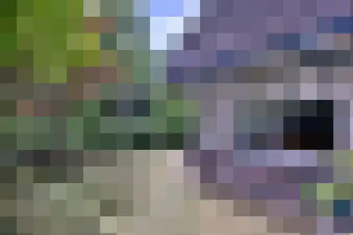 Meidoornlaan 28 Brummen thumbnail 36